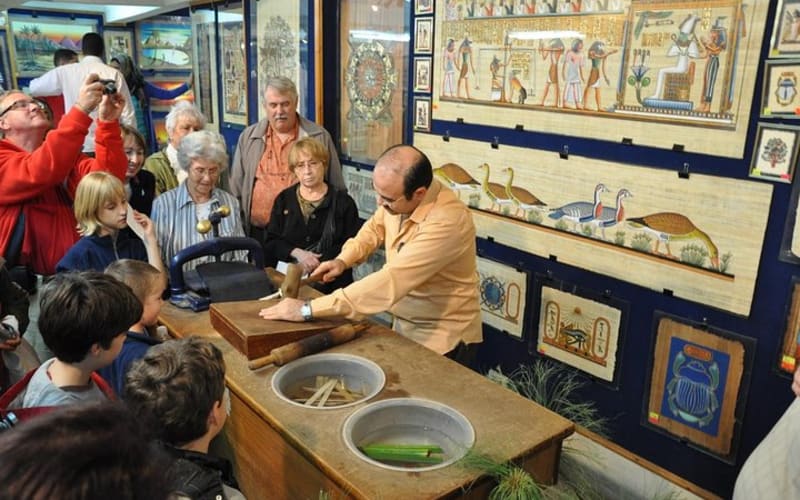 Papyrus Manufacturing Tour and Papyrus Making Demonstration - main image