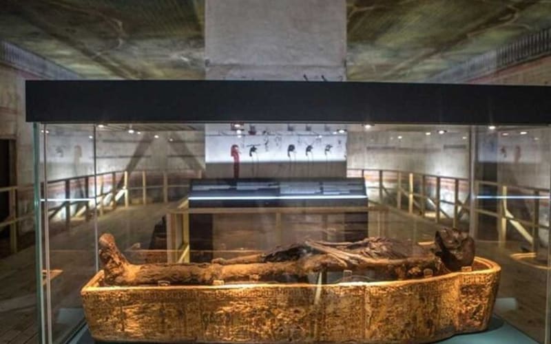 Private Full Day Tour to Mummies Hall Citadel of Cairo and Bazaar - main image