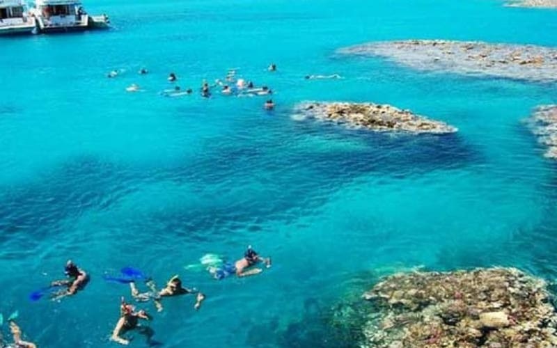 Full-Day Snorkeling Adventure In Tiran Island By Boat - main image