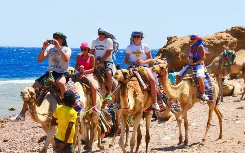 Sightseeing Tour To Dahab From Sharm El Sheikh  - main image