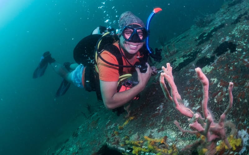Discover Scuba Diving - main image