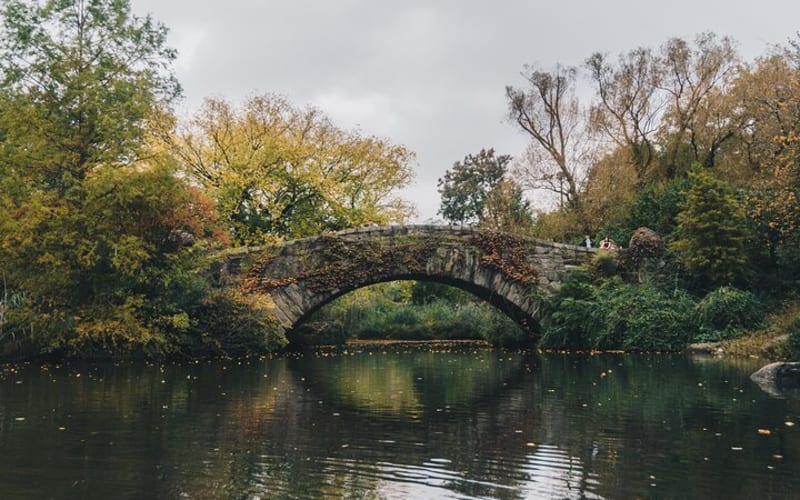Self Guided "Central Park Movie Tour" Solo Walking Tour in New York City - main image
