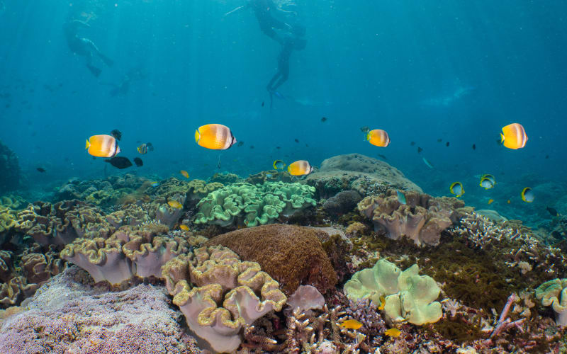 Snorkelling trip Amed - main image