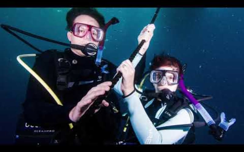 Begin your underwater adventure with the PADI Open Water Diver Course - main image