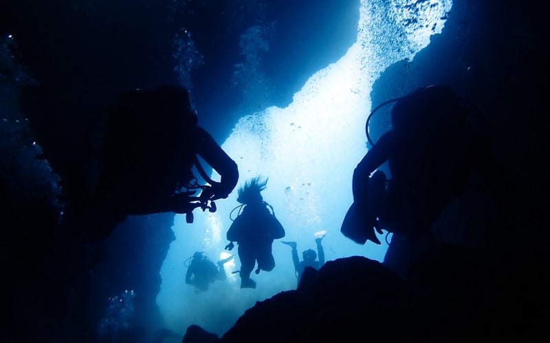Full-Day Boat Dive Trip - main image