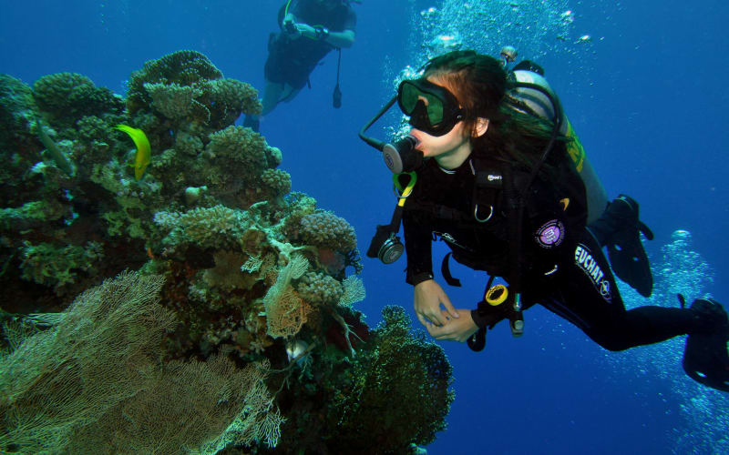 4 Dive Package - main image