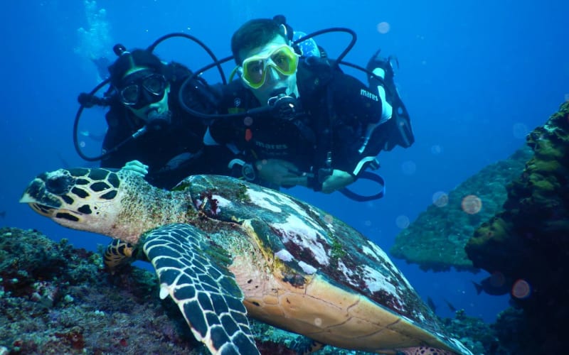 2 Dives Padang Bai - main image