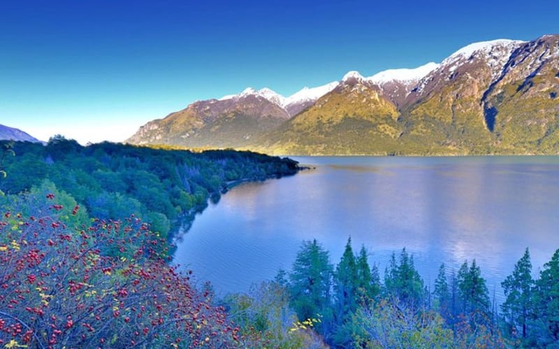  Parque Nacional Los Alerces, Esquel - Medio día - main image