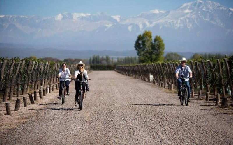 Mendoza, Bike por Bodegas y Viñedos - Dia completo - main image