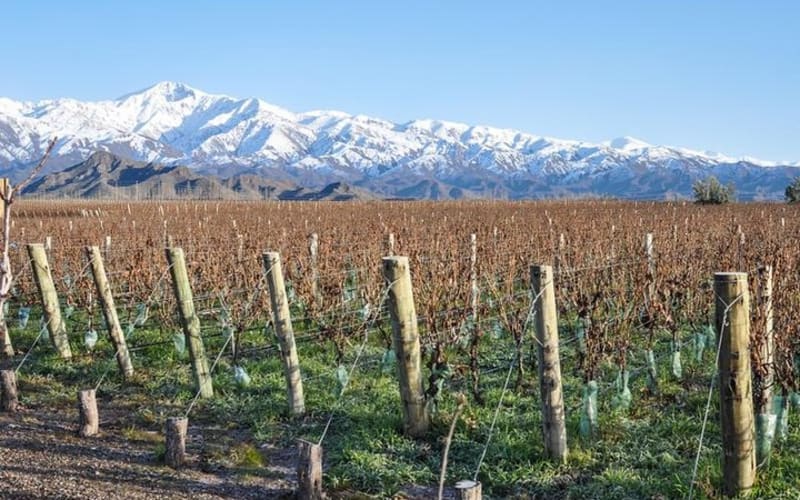 Mendoza, Experiencia Vitivinícola Valle de Uco - Dia completo - main image