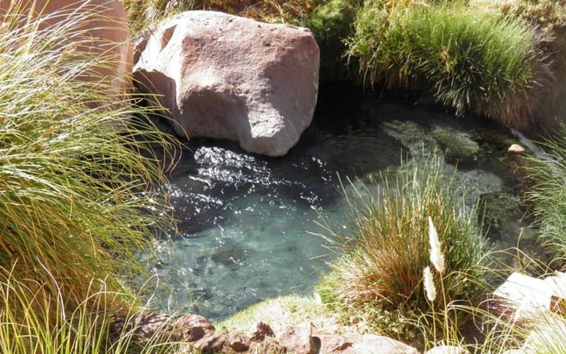San Pedro de Atacama, Termas de Puritama - Medio Dia - main image