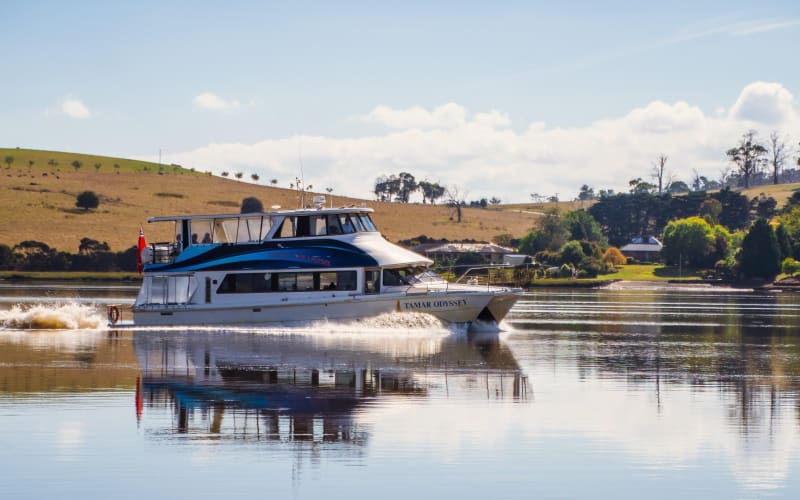 Afternoon Discovery Cruise in Launceston - main image
