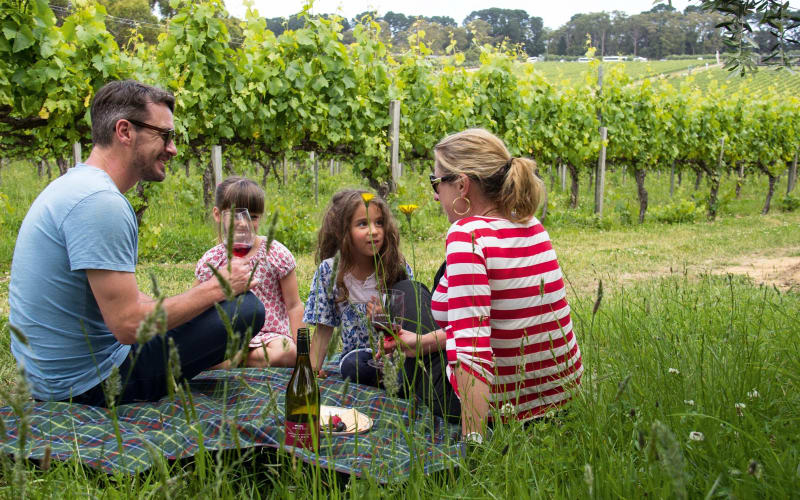Mornington Peninsula Gourmet Explorer - main image