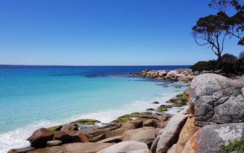 Tasmania 5-Day East Coast Adventure - main image