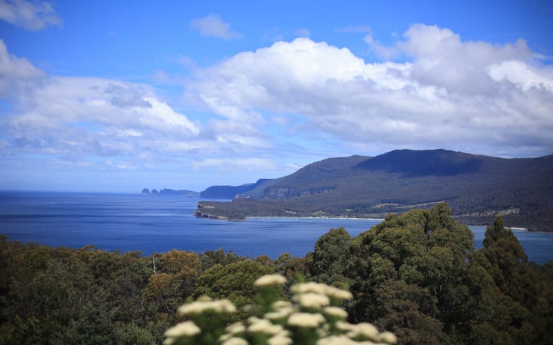 Tasman Peninsula Guided Tour - main image