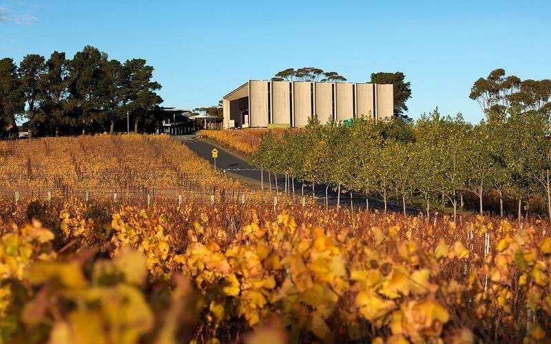 Moorilla's Wine and Art Tour at Mona - main image