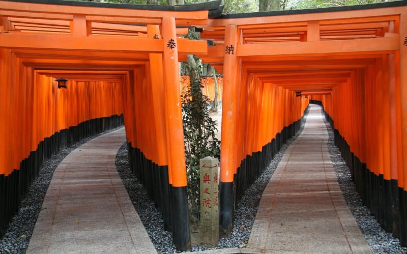 Kyoto Highlights Full-Day Tour - main image