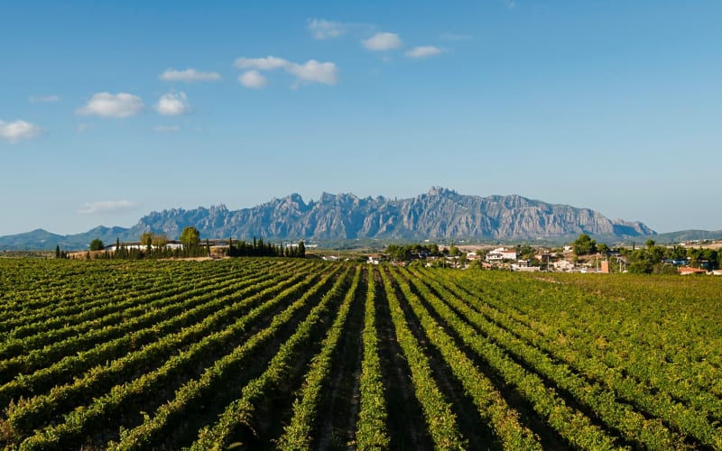 Private Montserrat and Cava Winery Tour - main image