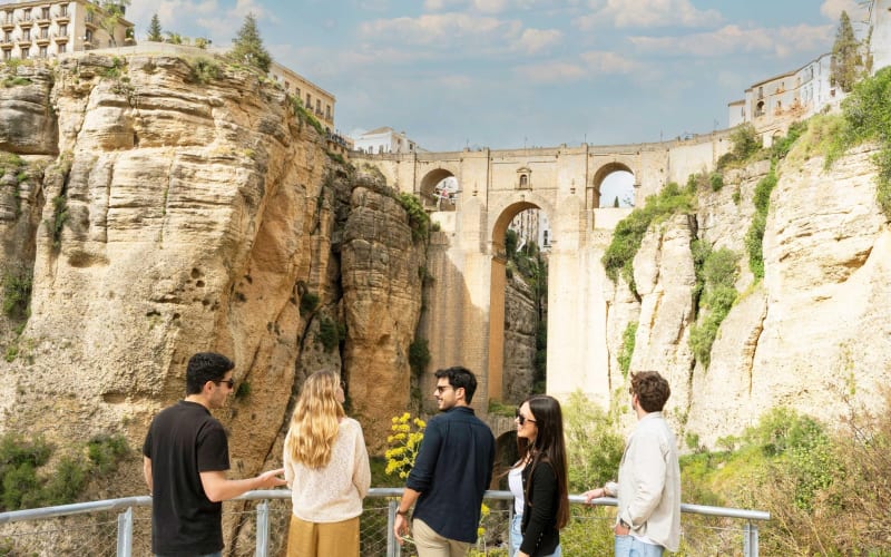 Ronda Wine & Olive Oil Tasting Tour - main image