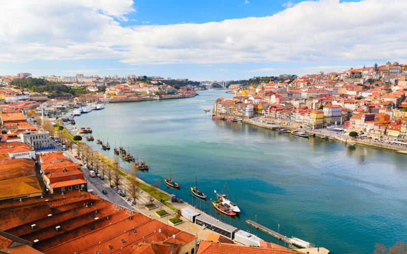 Porto Half-Day Private City Tour - main image