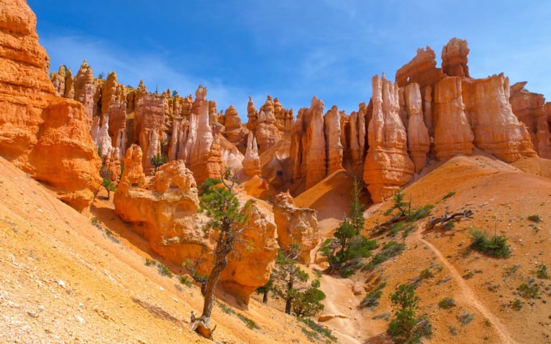 Zion & Bryce Canyon Day Tour - main image