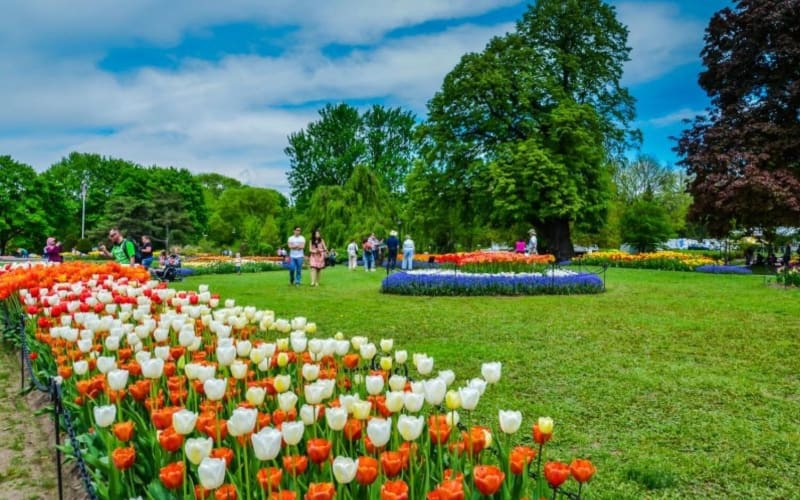 Windmill Island Gardens Day Tour from Chicago - main image