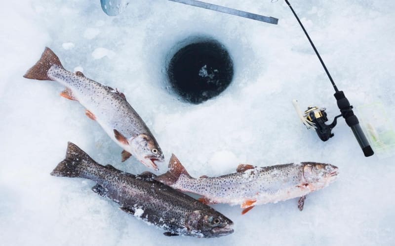 Fairbanks Ice Fishing Adventure - main image