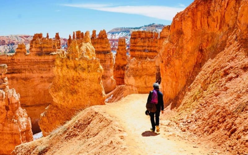 Zion, Bryce & Antelope Canyon Tour - main image
