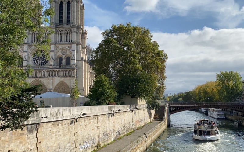 Paris Half-Day Tour with Louvre and Seine Cruise - main image