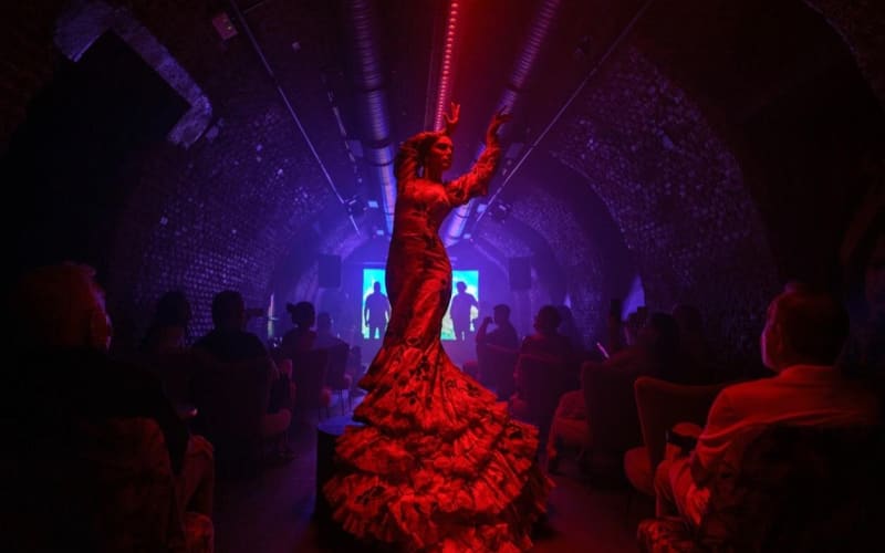 Intimate Flamenco Show & Spanish Drink in Madrid at La Carmela - main image