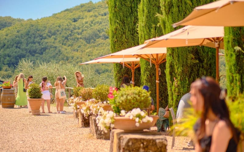 San Gimignano Half-Day Trip with Picnic and Wine - main image