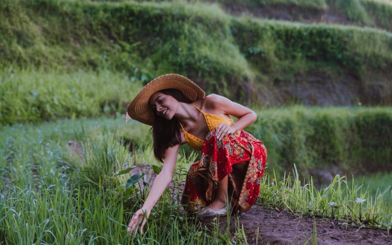 Bali Highlights: Ubud & Hidden Waterfall Tour - main image