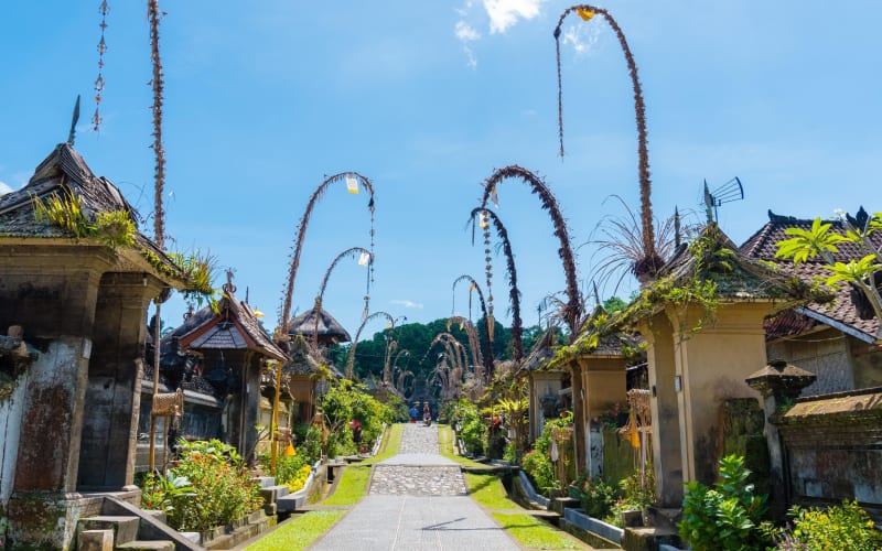 Bali Village Cycling Adventure - main image