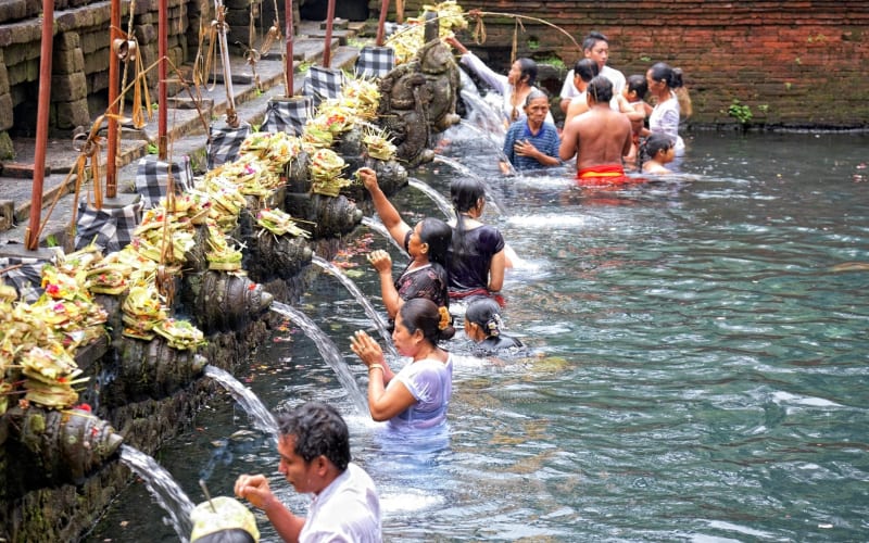 Customized Ubud Tour: Pick 5 Destinations - main image