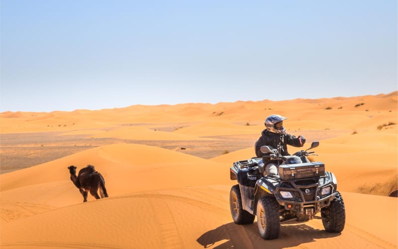 Dubai Red Dune Safari Adventure - main image