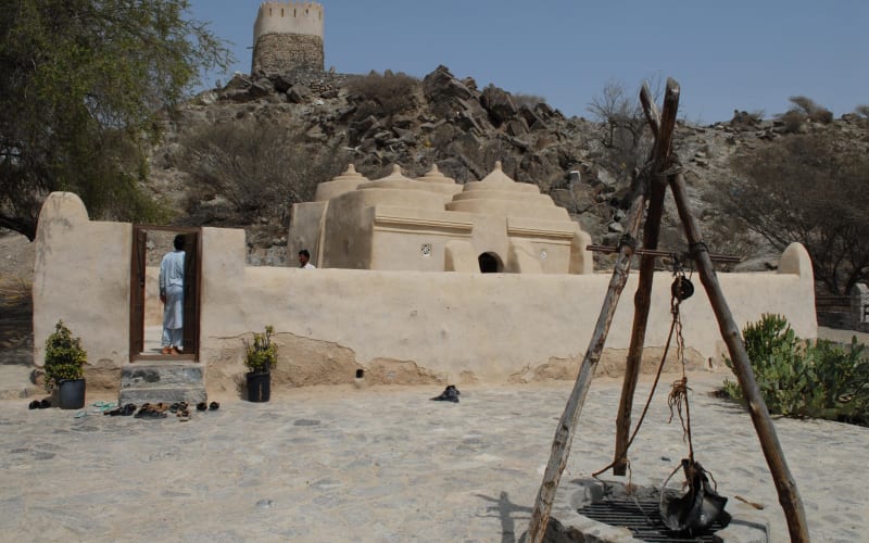 East Coast and Sharjah Day Tour from Dubai - main image