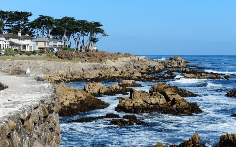 Private Monterey, Carmel & 17-Mile Drive Tour - main image