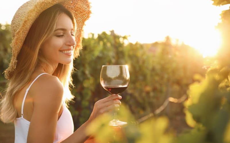 Chianti Hills Wine Tour from Florence - main image