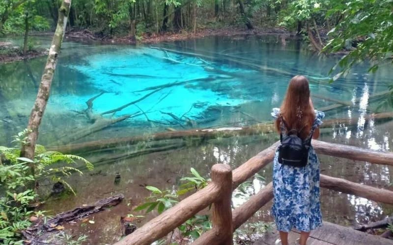 Krabi Emerald Pool & Tiger Cave Temple Tour - main image