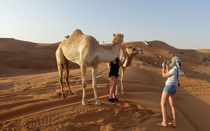 Private Morning Desert Safari Dubai - main image