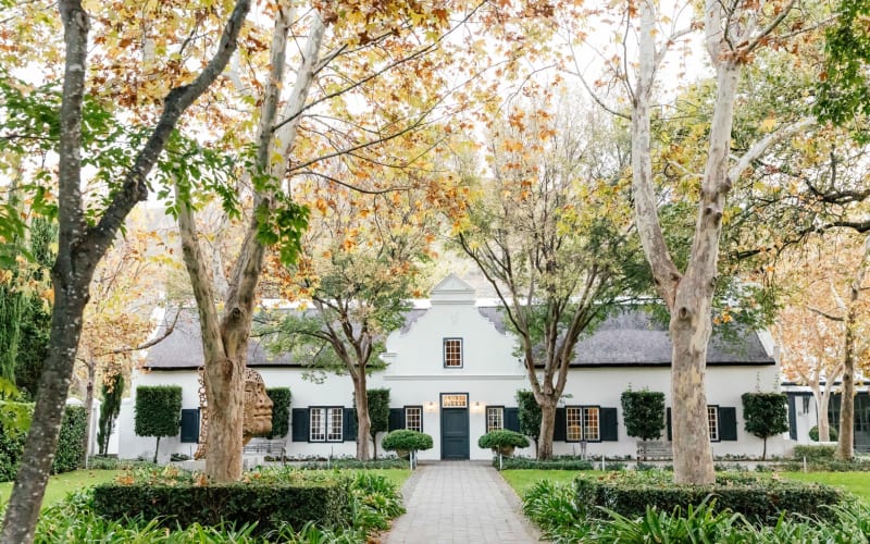 South Africa Premium Wine Experience - main image