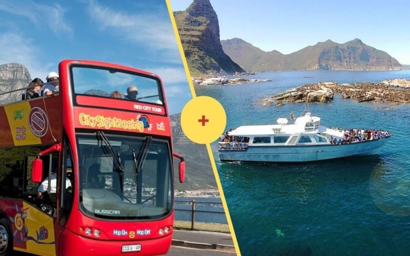 Cape Town Hop-On Hop-Off Bus & Seal Island Cruise - main image
