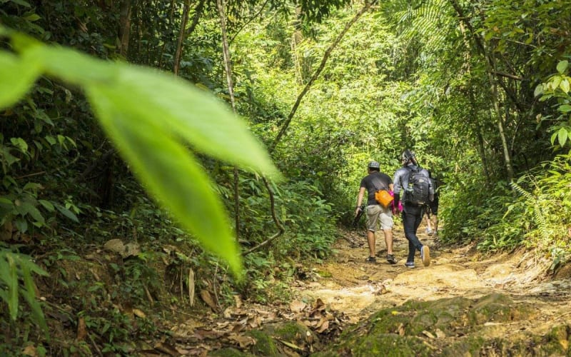 Phuket Jungle Trekking Adventure - main image