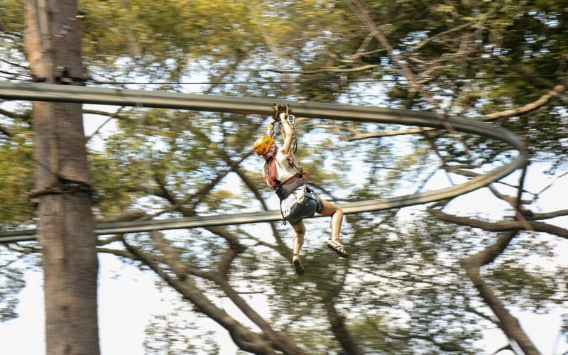 Jungle Flight Zipline Adventure in Chiang Mai - main image