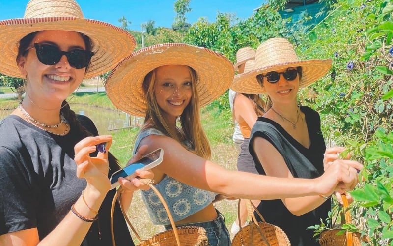 Organic Farm Cooking Class in Chiang Mai - main image