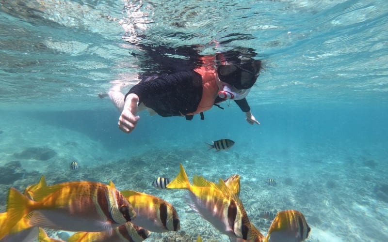 Angthong 42 Islands Premium Speedboat Tour - main image