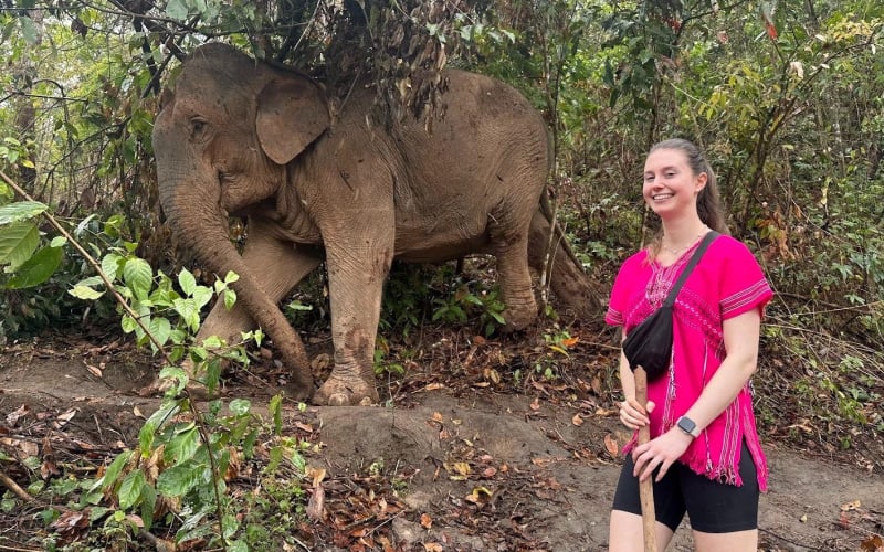 Elephant Observing and Doi Inthanon Hiking Tour - main image