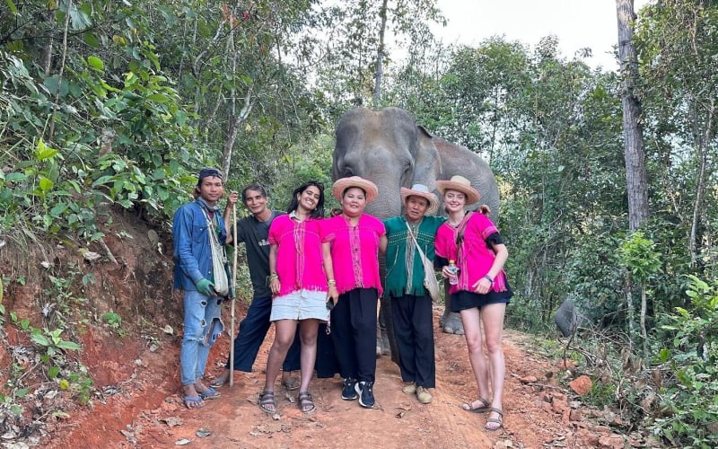 Ethical Elephant Observation Half-Day Tour - main image