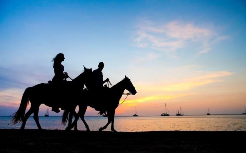 Phuket Beach Sunset Horseback Ride - main image