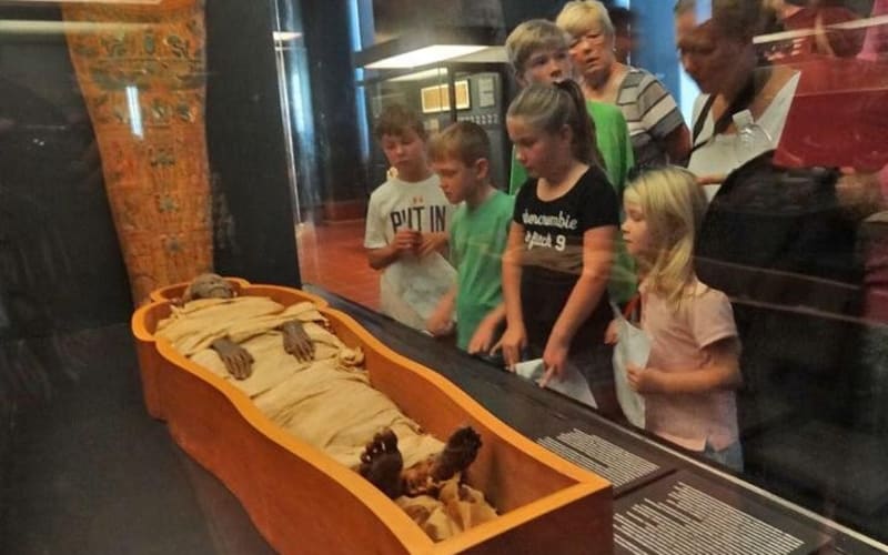 Family-Friendly Vatican Museums Tour - main image